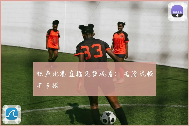 鲸鱼比赛直播免费观看：高清流畅不卡顿
