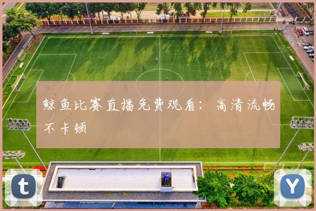 鲸鱼比赛直播免费观看：高清流畅不卡顿